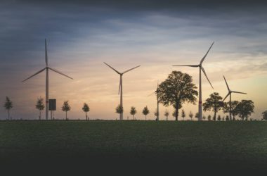 How Privatization is Powering Change in Electricity Distribution: Efficiency, Investment & Service Gains